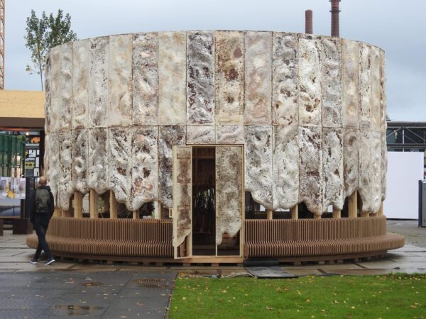 dutch design week mycelium panels for building