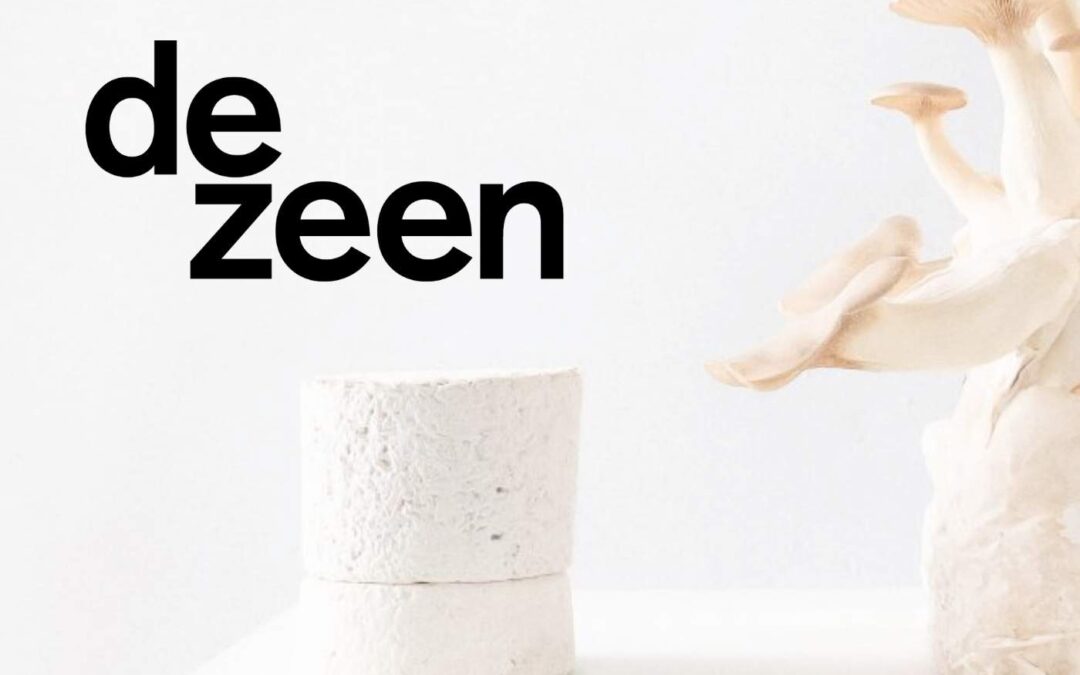 Amen grows carbon-negative mycelium packaging to ship its candles