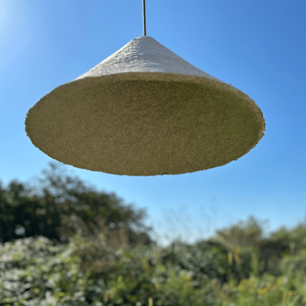 Want to shop exclusive mycelium products? Take a quick look!