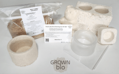 How to use the mycelium GIY kit: Tips, Tricks & Inspiration