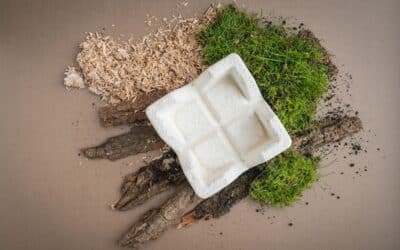Recycling of Mycelium Products