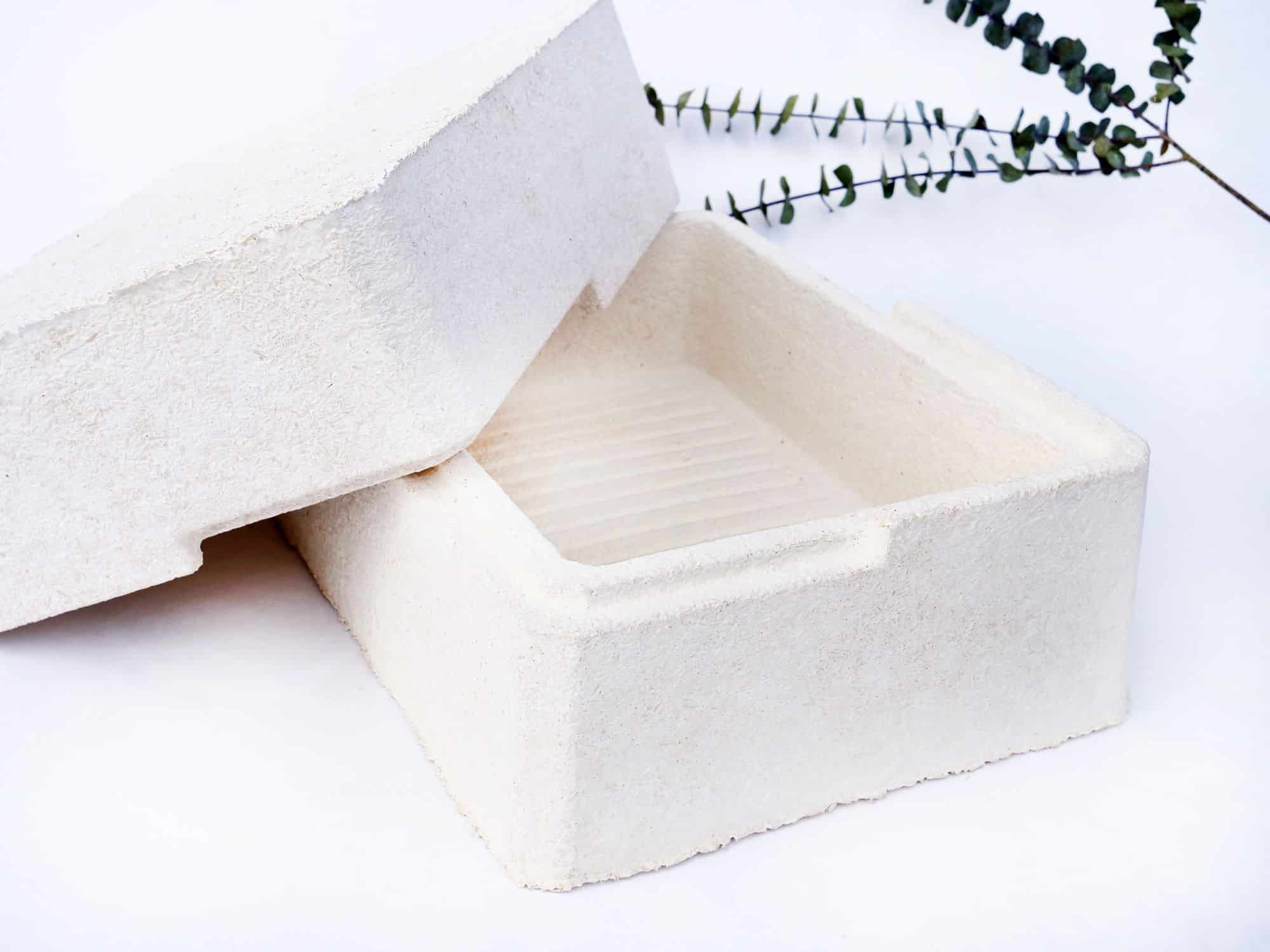 mycelium-cooler-box Wege aus der Krise -Xbrick