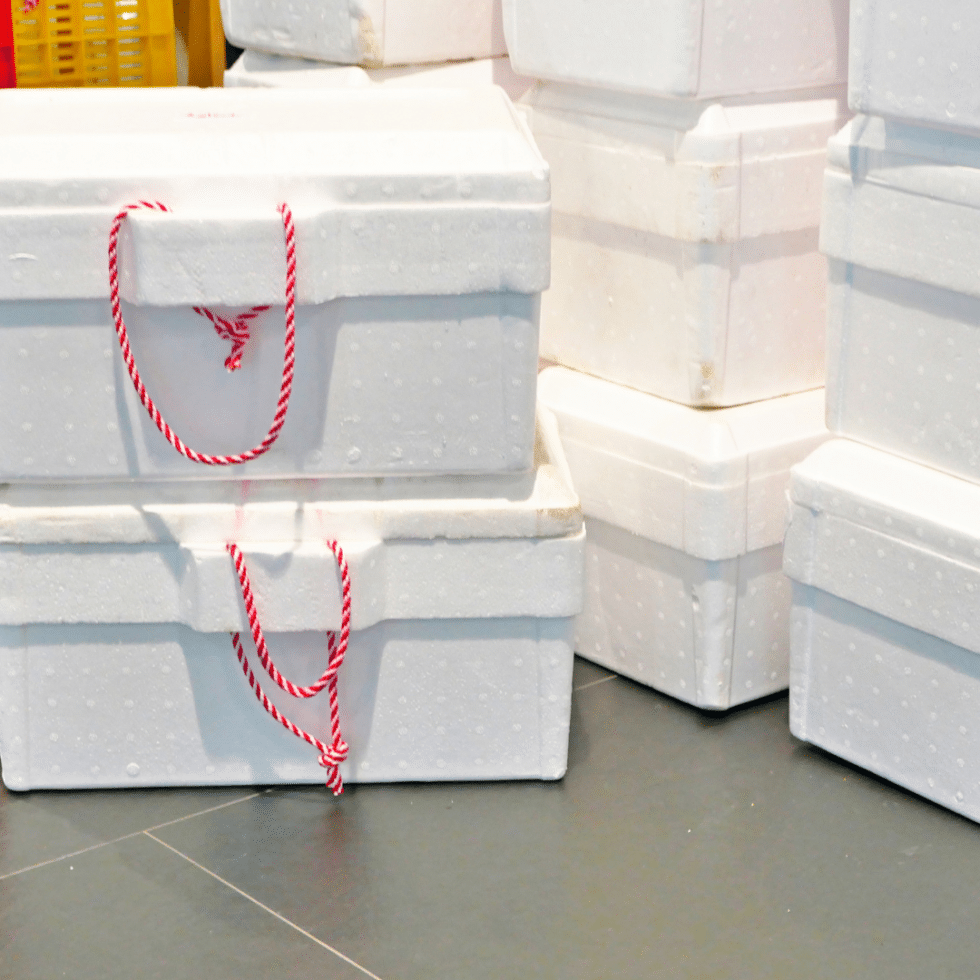 The dangers of Styrofoam why it's time for a ban GROWN bio