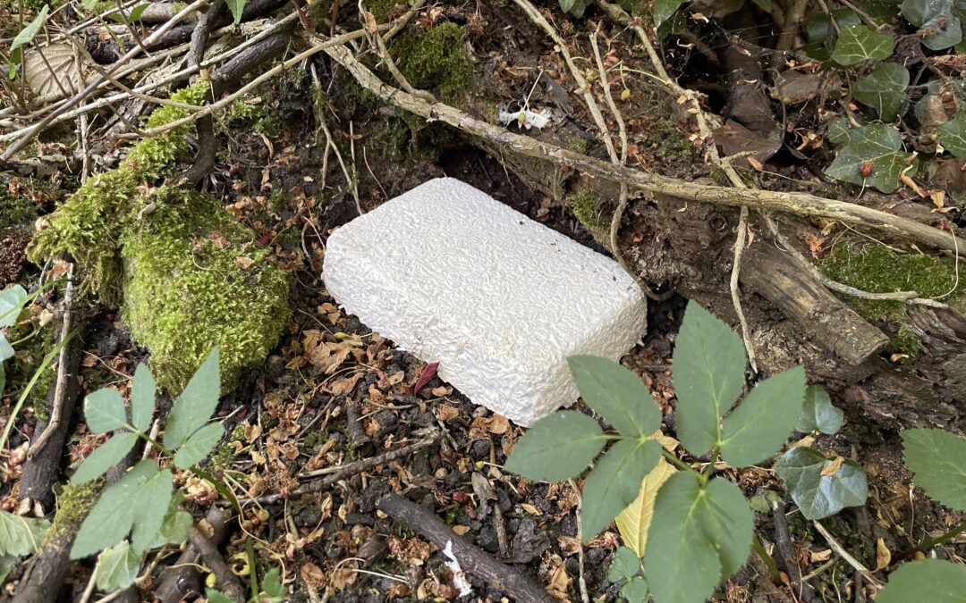 How to dispose of biodegradable Mycelium Packaging