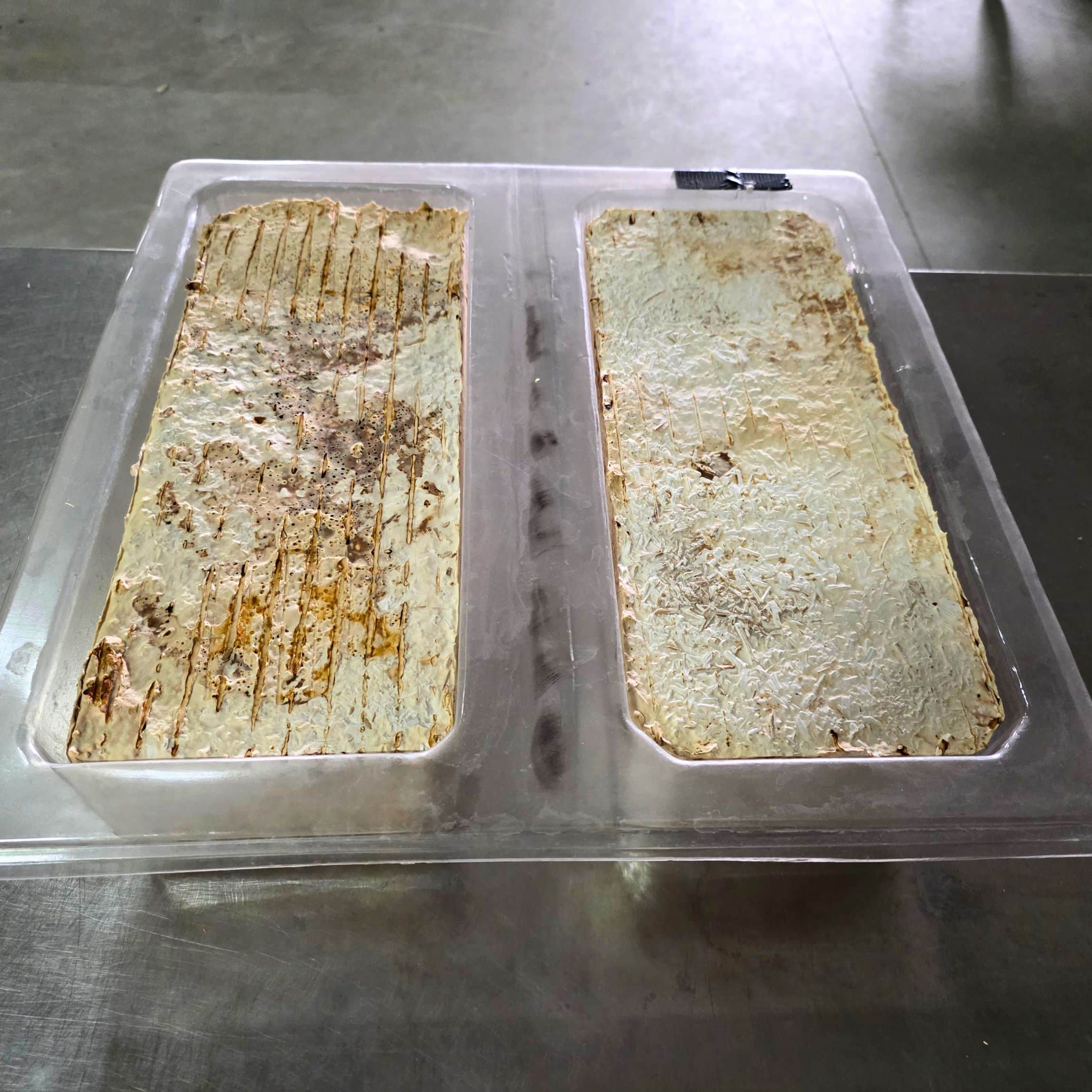 Ca. 30 Giant Mycelium Block Growth Forms – Bild 3
