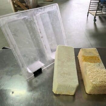 Ca. 30 Giant Mycelium Block Growth Forms