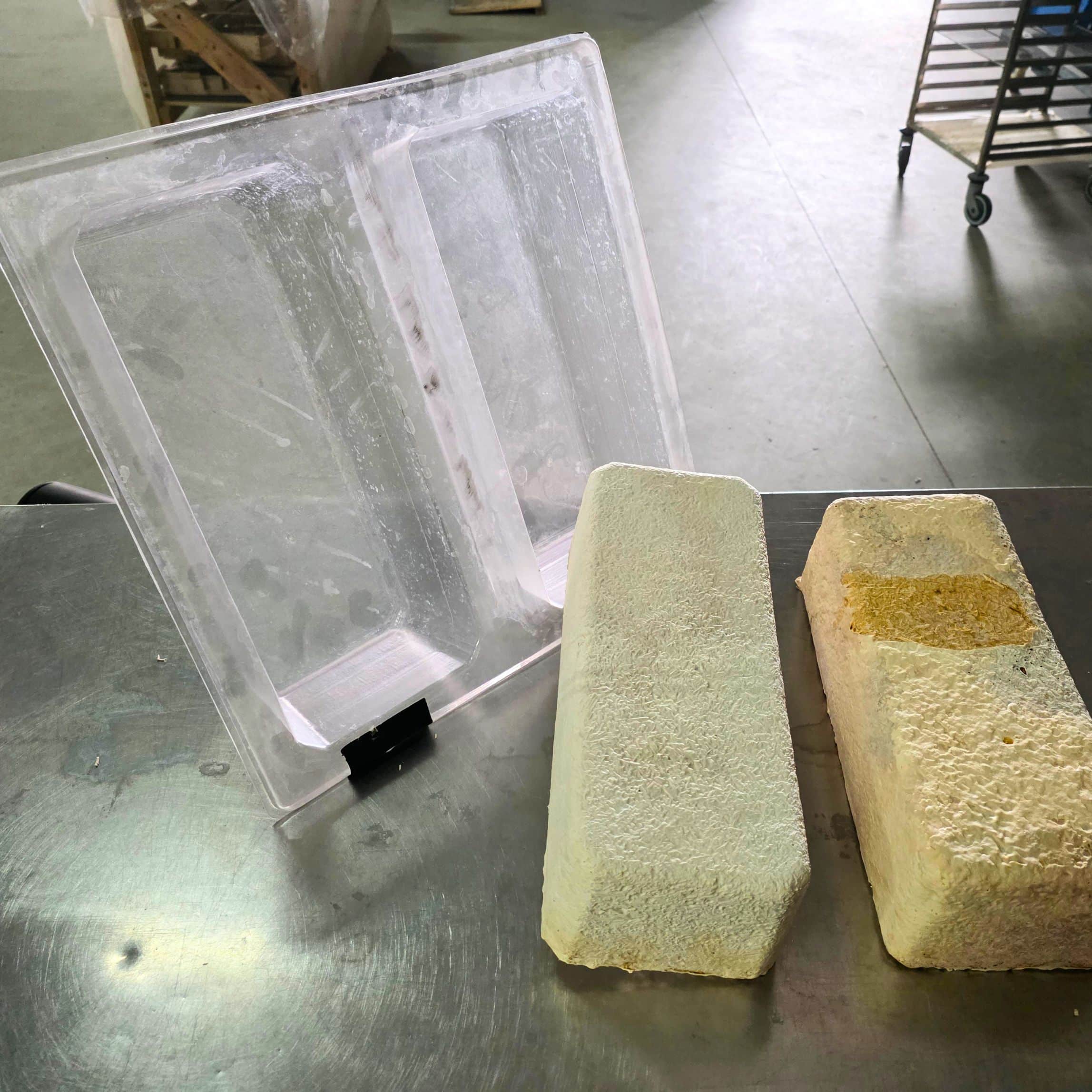 Ca. 30 Giant Mycelium Block Growth Forms